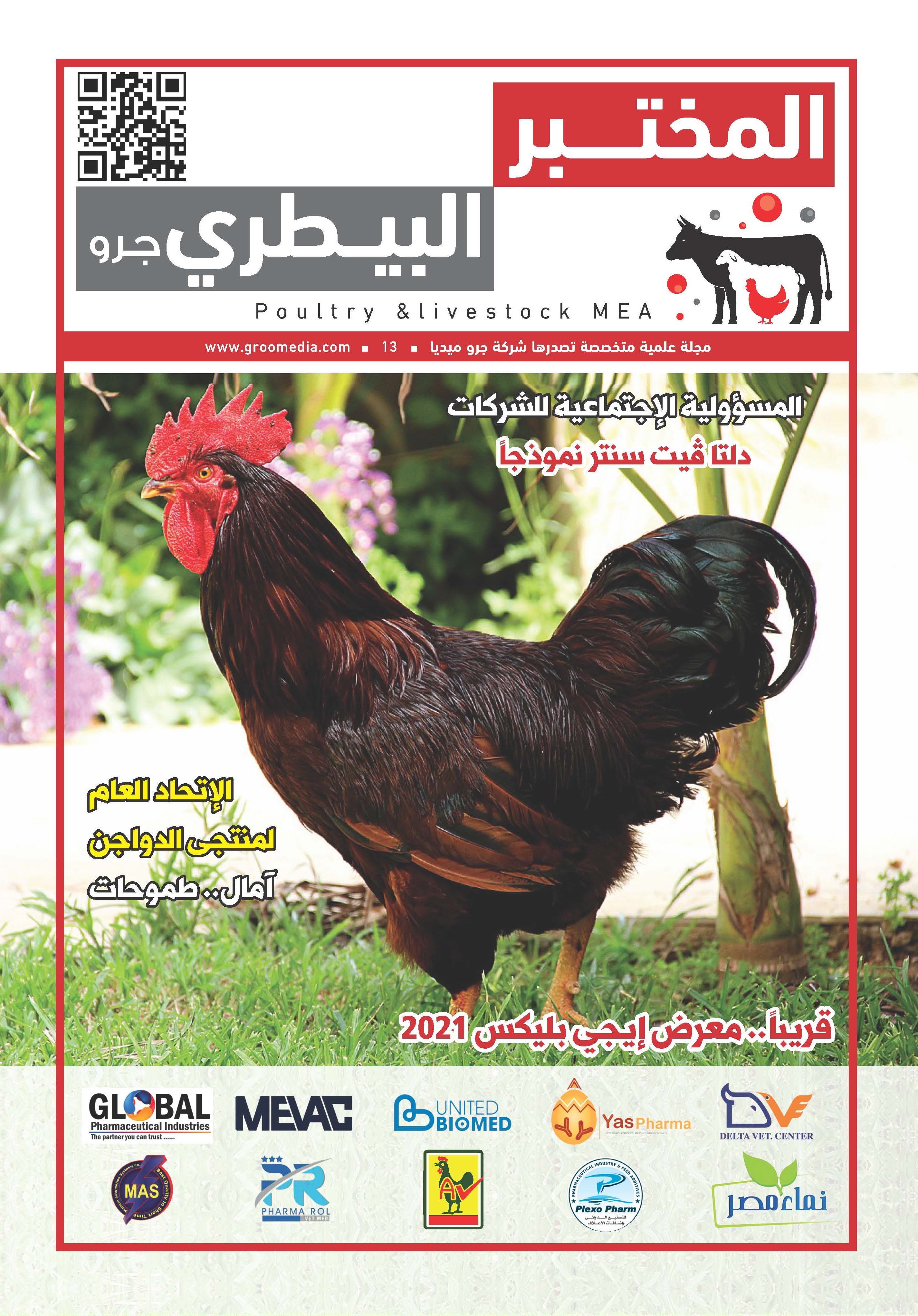 Edition 1