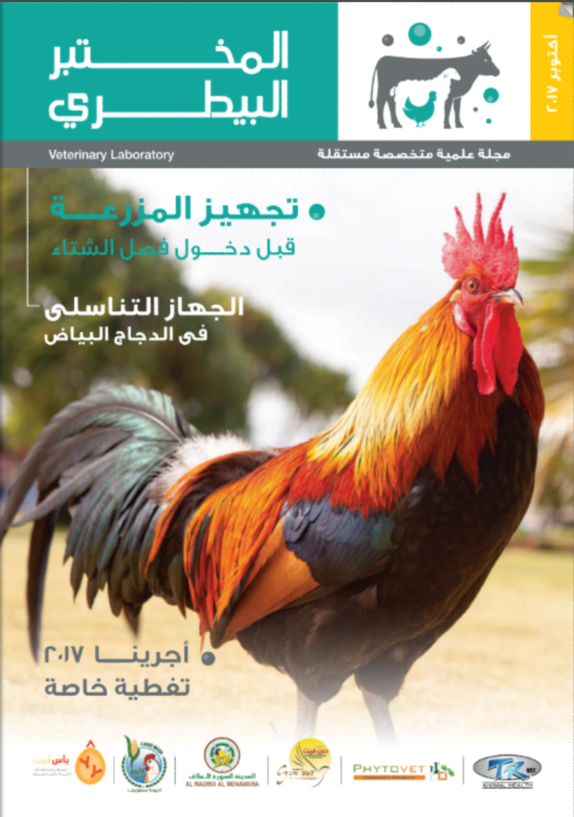 Edition 1
